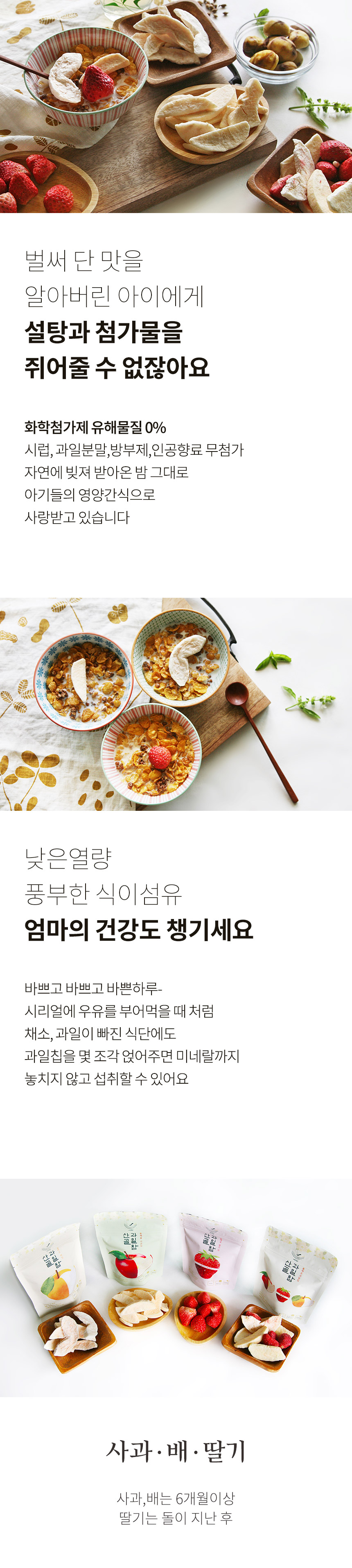 에코맘산골이유식 산골과일참 사과칩 100봉