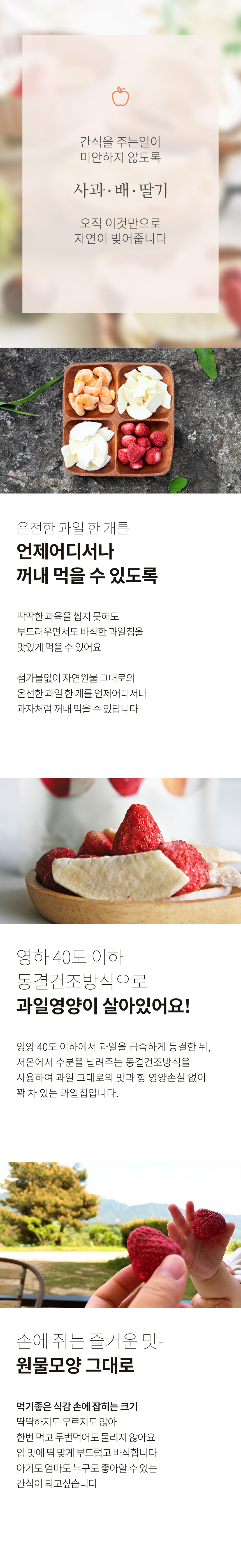 에코맘산골이유식 산골과일참 통째로과일칩 100봉